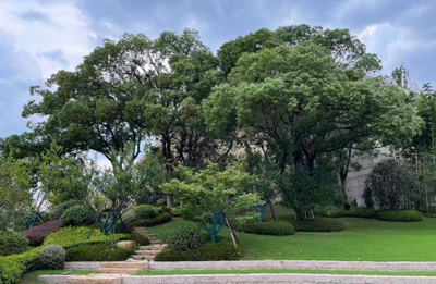 以園林景觀 點亮城市綠光--浙江福臨園林花木