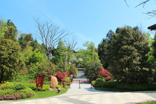 洗藥湖避暑山莊改擴(kuò)建項(xiàng)目園林景觀工程